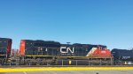 CN 8928